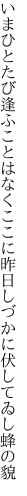 いまひとたび逢ふことはなくここに昨日 しづかに伏してゐし蜂の貌