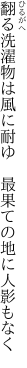 翻る洗濯物は風に耐ゆ　 最果ての地に人影もなく