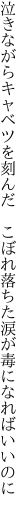 泣きながらキャベツを刻んだ　こぼれ落ちた 涙が毒になればいいのに