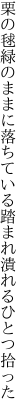 栗の毬緑のままに落ちている 踏まれ潰れるひとつ拾った