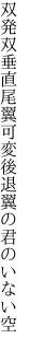 双発双垂直尾翼可変 後退翼の君のいない空