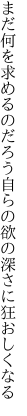 まだ何を求めるのだろう自らの 欲の深さに狂おしくなる