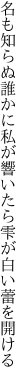 名も知らぬ誰かに私が響いたら 雫が白い蕾を開ける