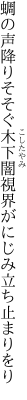 蜩の声降りそそぐ木下闇 視界がにじみ立ち止まりをり