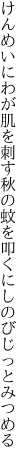 けんめいにわが肌を刺す秋の蚊を 叩くにしのびじっとみつめる