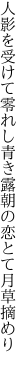 人影を受けて零れし青き露 朝の恋とて月草摘めり