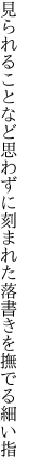 見られることなど思わずに刻まれた 落書きを撫でる細い指