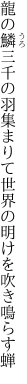 龍の鱗三千の羽集まりて 世界の明けを吹き鳴らす蝉