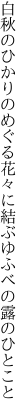 白秋のひかりのめぐる花々に 結ぶゆふべの露のひとこと