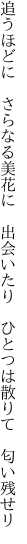 追うほどに　さらなる美花に　出会いたり 　ひとつは散りて　匂い残せリ