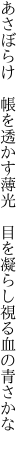 あさぼらけ 帳を透かす薄光  目を凝らし視る血の青さかな 