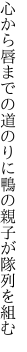 心から唇までの道のりに 鴨の親子が隊列を組む