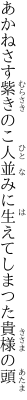 あかねさす紫きのこ人並みに 生えてしまつた貴様の頭