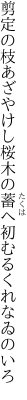 剪定の枝あざやけし桜木の 蓄へ初むるくれなゐのいろ