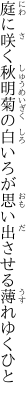 庭に咲く秋明菊の白いろが 思い出させる薄れゆくひと