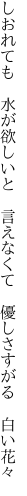 しおれても　水が欲しいと　言えなくて 　優しさすがる　白い花々