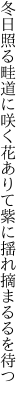 冬日照る畦道に咲く花ありて 紫に揺れ摘まるるを待つ