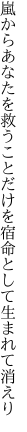 嵐からあなたを救うことだけを 宿命として生まれて消えり