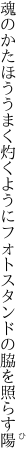 魂のかたほううまく灼くように フォトスタンドの脇を照らす陽