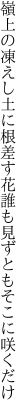 嶺上の凍えし土に根差す花 誰も見ずともそこに咲くだけ