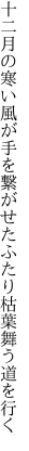 十二月の寒い風が手を繋がせた ふたり枯葉舞う道を行く