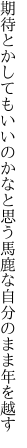 期待とかしてもいいのかなと思う 馬鹿な自分のまま年を越す