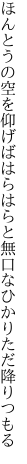 ほんとうの空を仰げばはらはらと 無口なひかりただ降りつもる