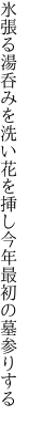 氷張る湯呑みを洗い花を挿し 今年最初の墓参りする