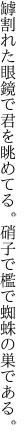 罅割れた眼鏡で君を眺めてる。 硝子で檻で蜘蛛の巣である。