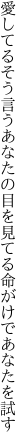 愛してるそう言うあなたの目を見てる 命がけであなたを試す