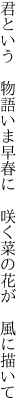 君という 物語いま早春に  咲く菜の花が 風に描いて