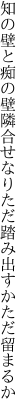 知の壁と痴の壁隣合せなり ただ踏み出すかただ留まるか