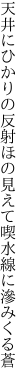 天井にひかりの反射ほの見えて 喫水線に滲みくる蒼