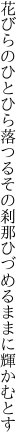 花びらのひとひら落つるその刹那 ひづめるままに輝かむとす