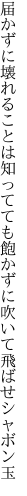 届かずに壊れることは知ってても 飽かずに吹いて飛ばせシャボン玉