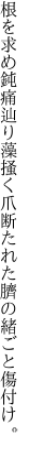 根を求め鈍痛辿り藻掻く爪 断たれた臍の緒ごと傷付け。