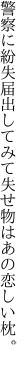 警察に紛失届出してみて 失せ物はあの恋しい枕。