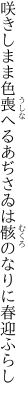 咲きしまま色喪へるあぢさゐは 骸のなりに春迎ふらし