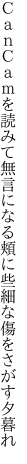 ＣａｎＣａｍを読みて無言になる 頬に些細な傷をさがす夕暮れ