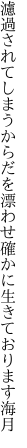 濾過されてしまうからだを漂わせ 確かに生きております海月