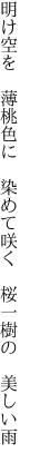 明け空を 薄桃色に 染めて咲く  桜一樹の 美しい雨