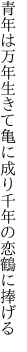 青年は万年生きて亀に成り 千年の恋鶴に捧げる