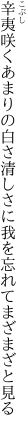 辛夷咲くあまりの白さ清しさに 我を忘れてまざまざと見る