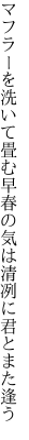 マフラーを洗いて畳む早春の 気は清冽に君とまた逢う