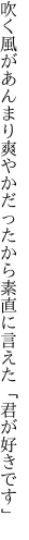 吹く風があんまり爽やかだったから 素直に言えた「君が好きです」