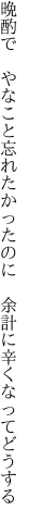 晩酌で　やなこと忘れたかったのに 　余計に辛くなってどうする