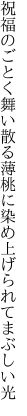 祝福のごとく舞い散る薄桃に 染め上げられてまぶしい光