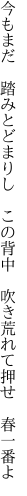 今もまだ　踏みとどまりし　この背中 　吹き荒れて押せ　春一番よ