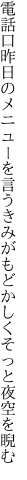 電話口昨日のメニューを言うきみが もどかしくそっと夜空を睨む