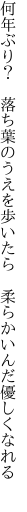 何年ぶり？ 落ち葉のうえを歩いたら  柔らかいんだ優しくなれる 